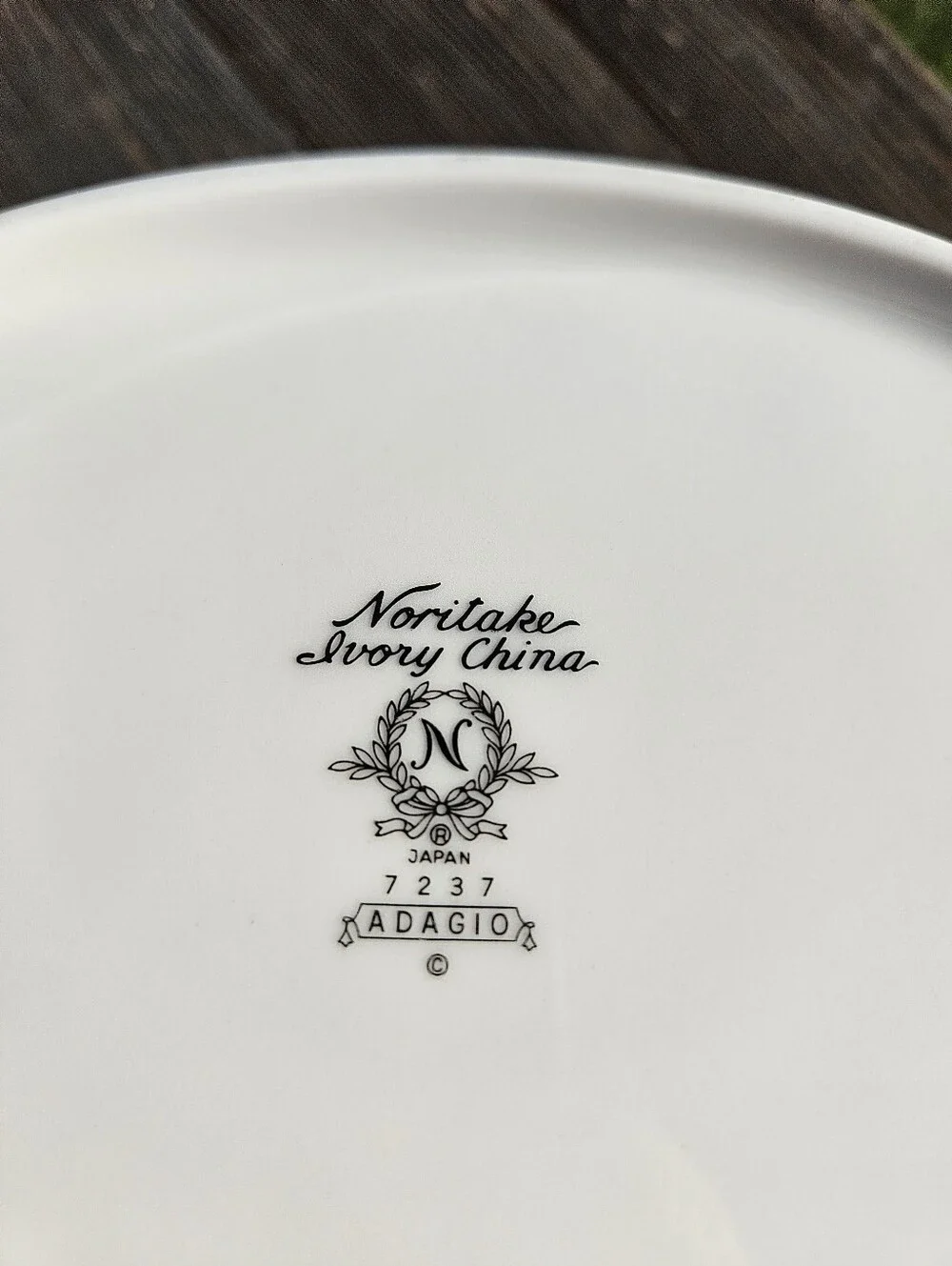 VINTAGE FLORAL IVORY CHINA Noritake Adagio 7237 10